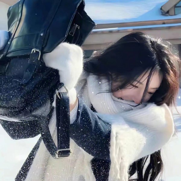 妙探双龙